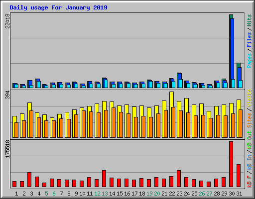 Daily usage for January 2019