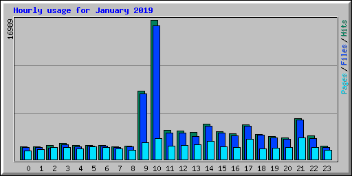 Hourly usage for January 2019
