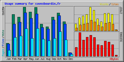 Usage summary for cavesbourdin.fr