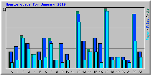 Hourly usage for January 2019