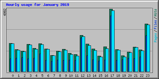 Hourly usage for January 2019
