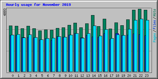Hourly usage for November 2019